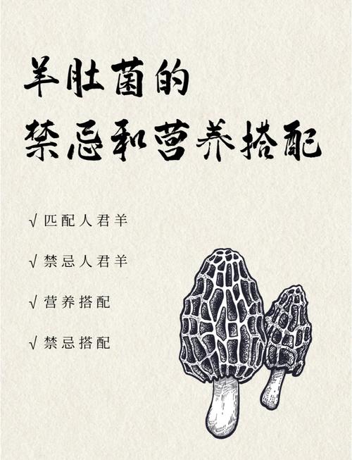 羊肚菌的功效与作用虽多，但不要随便吃！分享食用禁忌和正确吃法