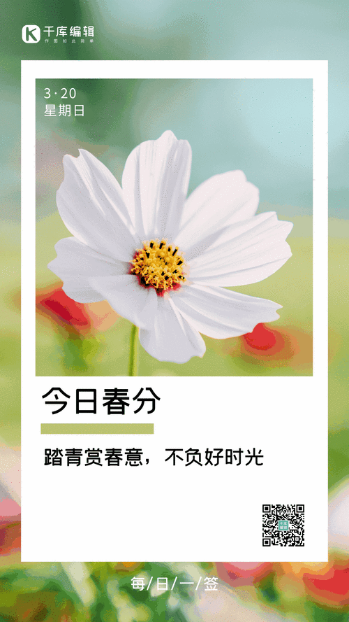 春分:赴一场花与热爱之约