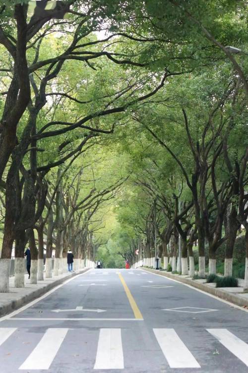 初春的湘大校园风光。拍下这里的春天 校园随拍