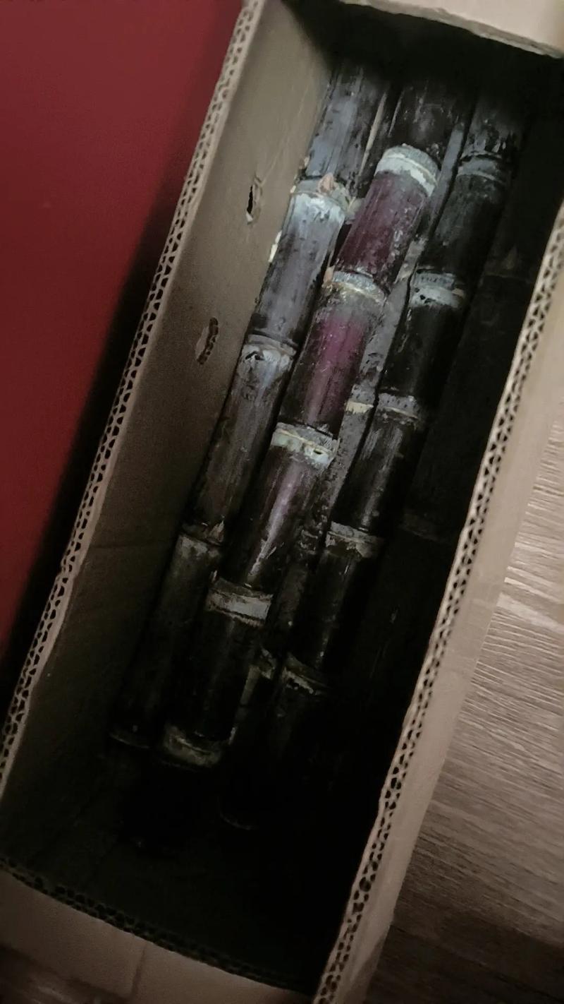 黄色甘蔗与黑色甘蔗的独特魅力与风味比较
