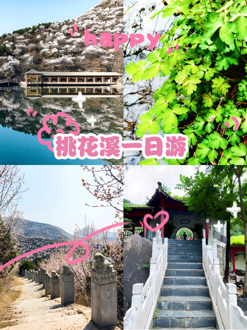 周末趣玩！黄河北岸桃花节，沉浸式解锁春日浪漫新玩法
