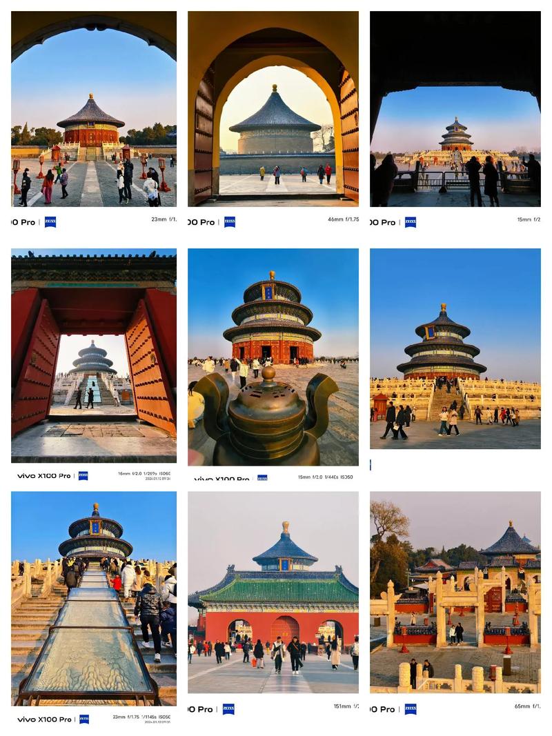 北京天坛公园花粉弥漫 游客直呼不能呼吸！公园回应：系柏树花粉 已喷水降低浓度