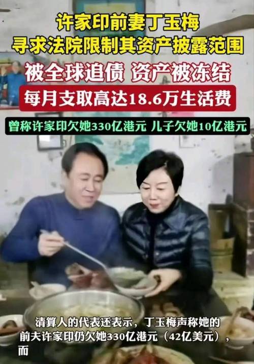 许家印被曝两未成年子女 前妻丁玉梅60亿资产遭冻
