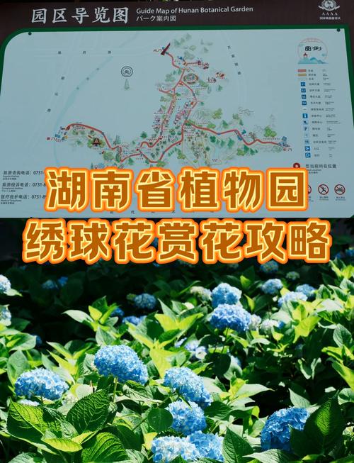 湖南省植物园发布赏花高峰期温馨提示：游客须预约入园