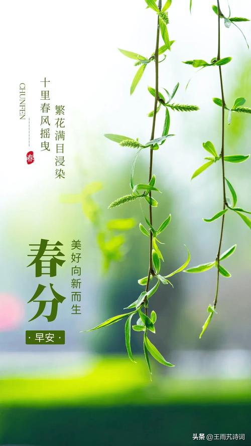 春分到，气温升，踏青赏花正当时！