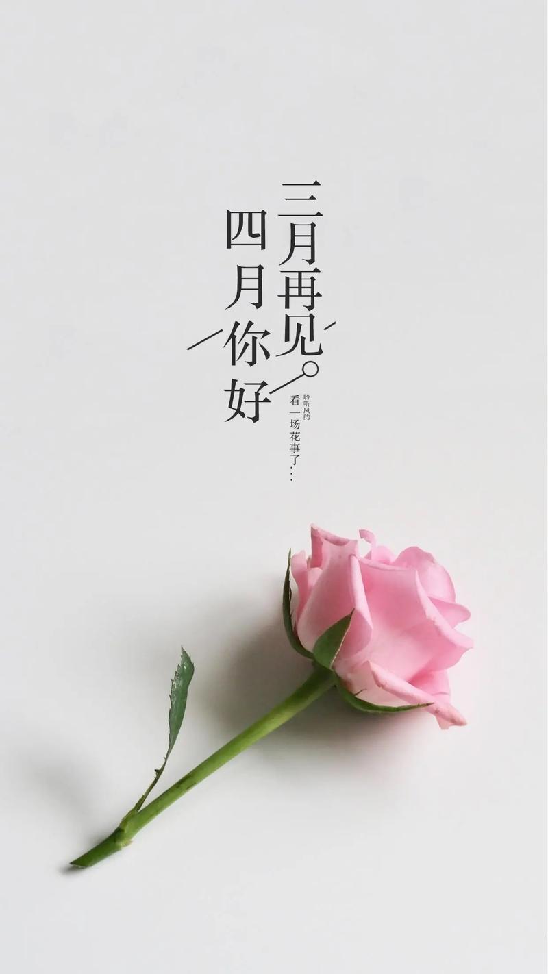 四月即将来临！这五个城市即将迎来最美季节