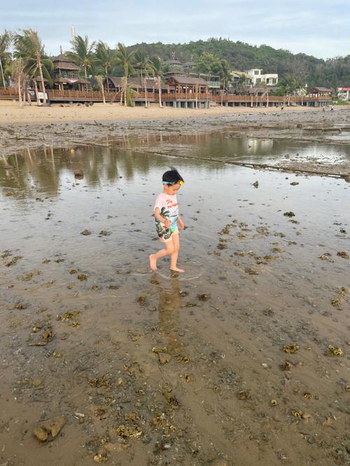 赤岭小孩哥后续：被救后吃掉一大碗米饭，家人找一夜结果人在三亚