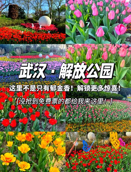 官宣！襄阳桃园公园五一期间盛大开园，超多惊喜等你解锁！