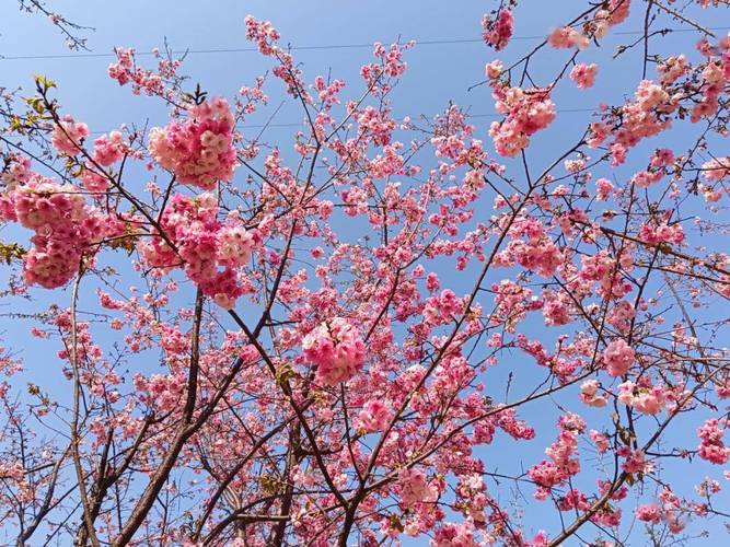 旅游 第30页