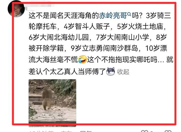 赤岭小孩哥后续！回家后没打，但是又跑了，村民曝他更多离谱事迹