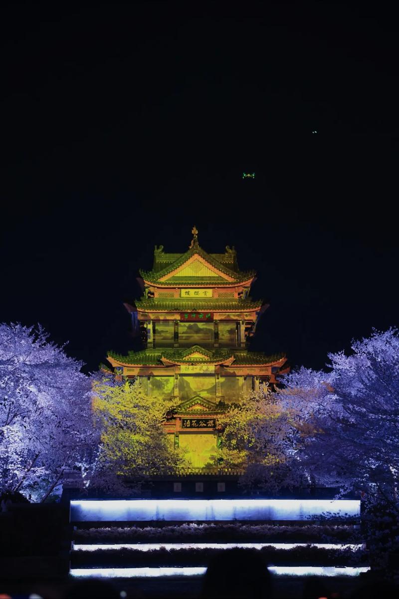 无锡最大的免费赏樱地！一夜之间，全开了！