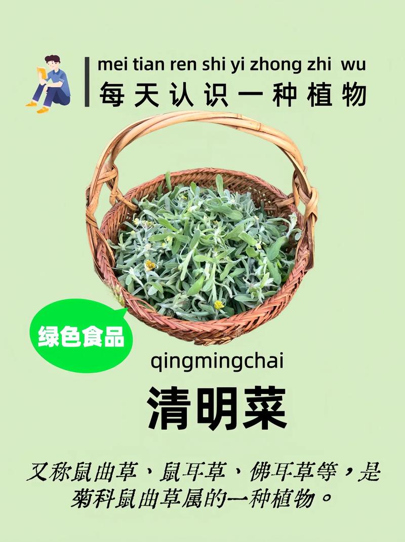 清明吃3草，少往医院跑：4月4日清明节，记得吃这3种食物，正鲜嫩