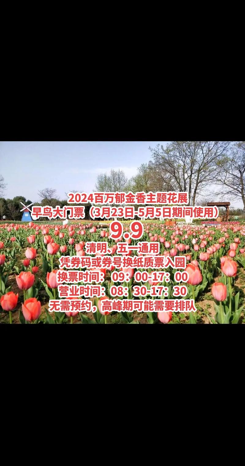 约吗？滨州这里百万株郁金香花海即将绽放！10万元消费券同步发放！