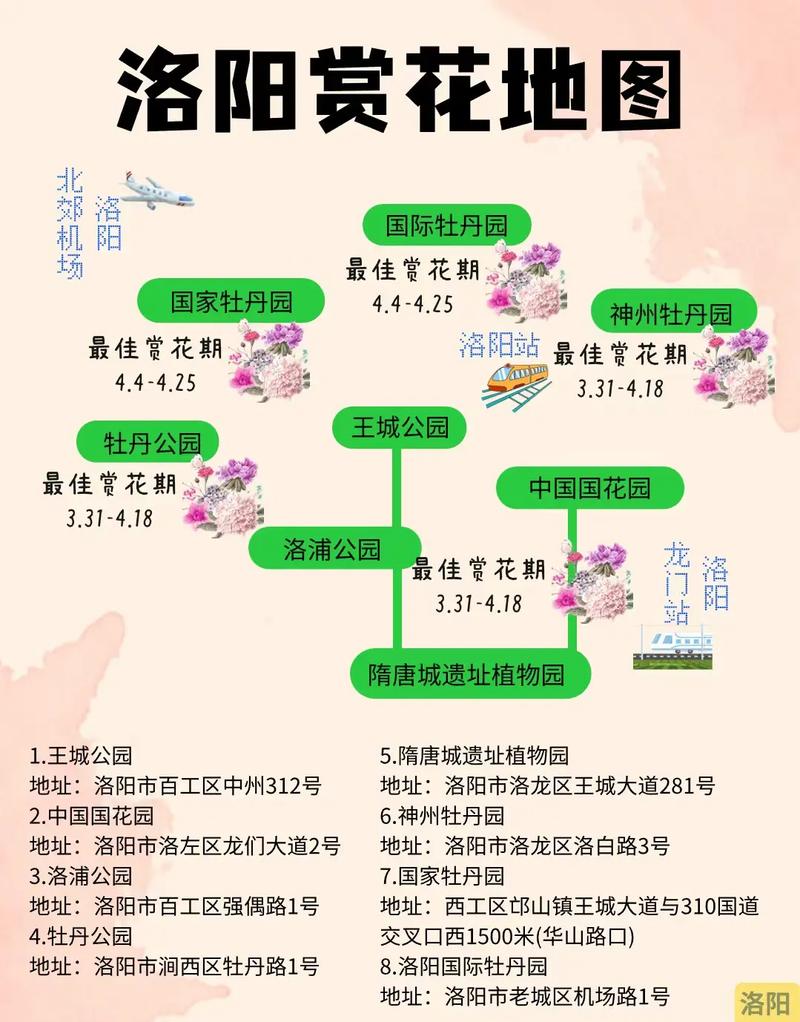 点亮夜经济！第42届中国洛阳牡丹文化节夜间消费活动方案发布