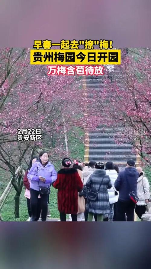 贵州梅园，今日起闭园！
