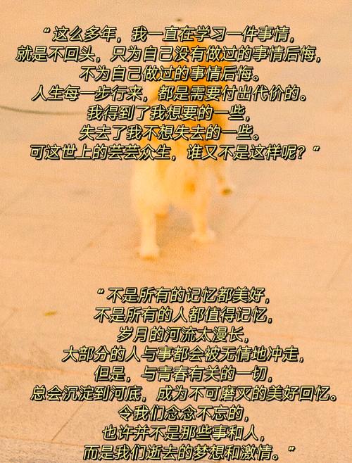 七天后我将故去！请记住我最美的时光~