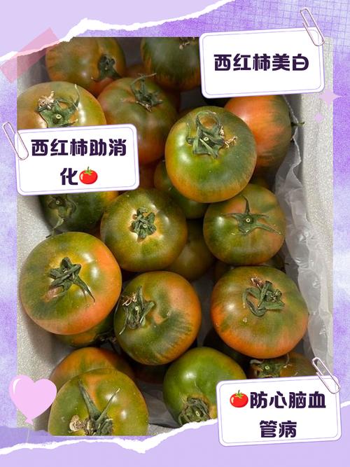 铁含量是西红柿20倍，春天随手一蒸，营养高，助睡眠，错过等一年
