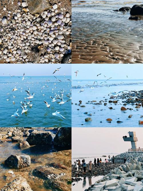 长岛旅游躺平赶海看日落！家门口就有免费赶海地，滩涂藏着大惊喜
