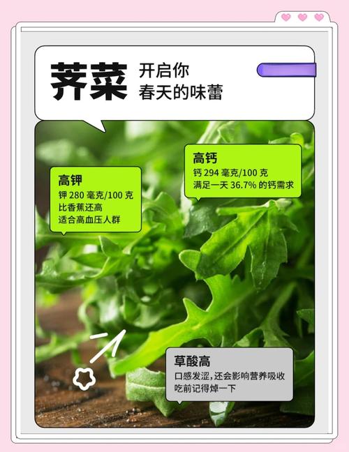 美食 第32页
