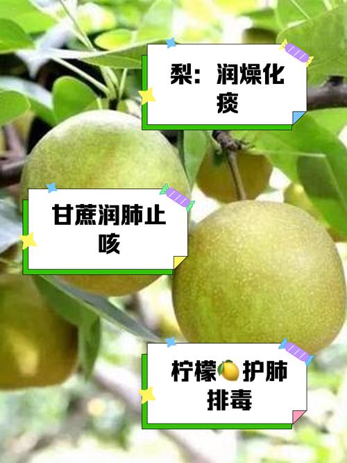 一护眼、二润肺、三清火，清明前后抓紧吃，正当季，蒸包子真香！