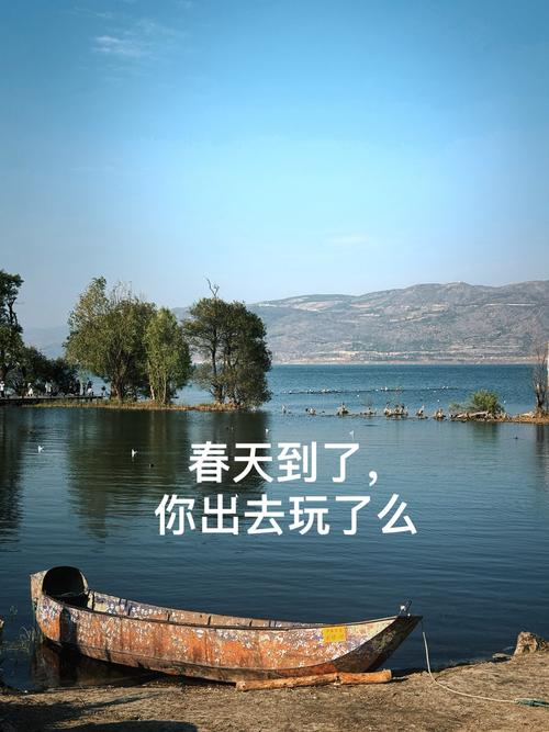 春天拍了拍你：该出门踏青啦！