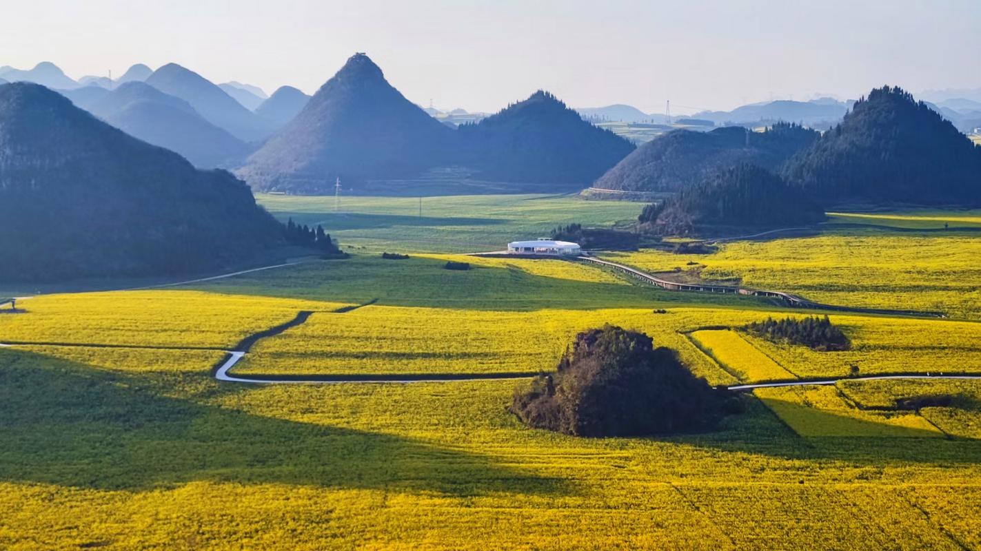 2025年4月8日