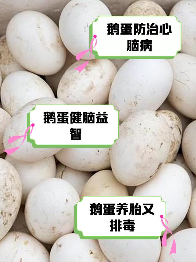 鹅蛋为什么很少有人吃？也很少有卖？看完后才知道，涨知识了！