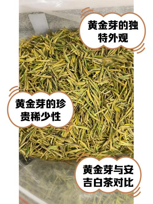 春芽正当时！这5道黄金菜助娃蹿高个，错过再等一年！