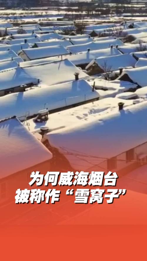 烟台大雪真的是风雪交加！不愧是雪窝子！