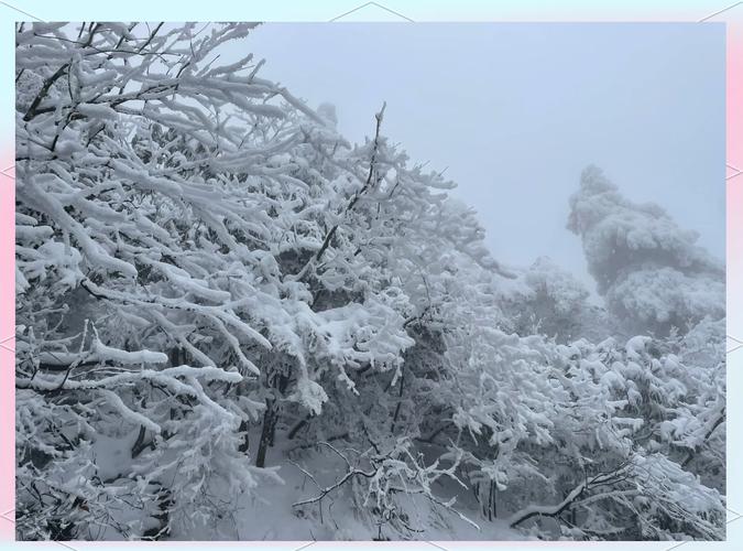 3 月 28 日，安徽九华山喜降“桃花雪”