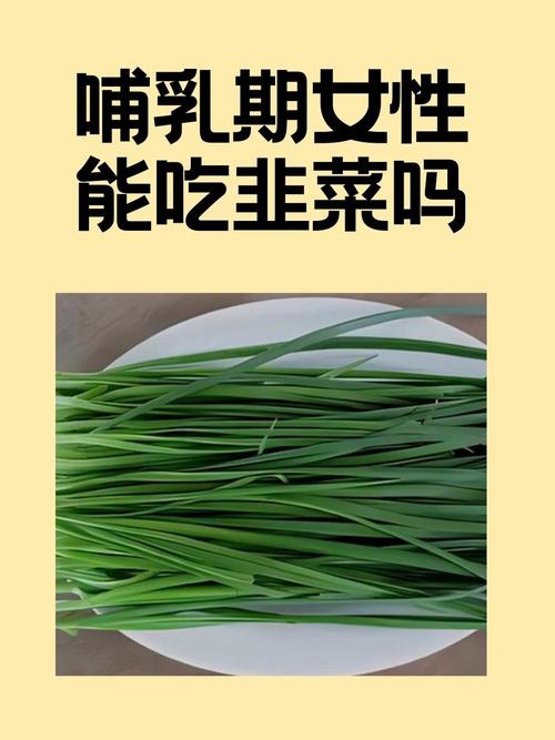 春天这菜是个宝，女人要常吃，不放肉也鲜，滋补养生