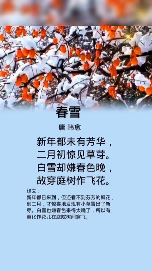 2025年4月6日 第2页