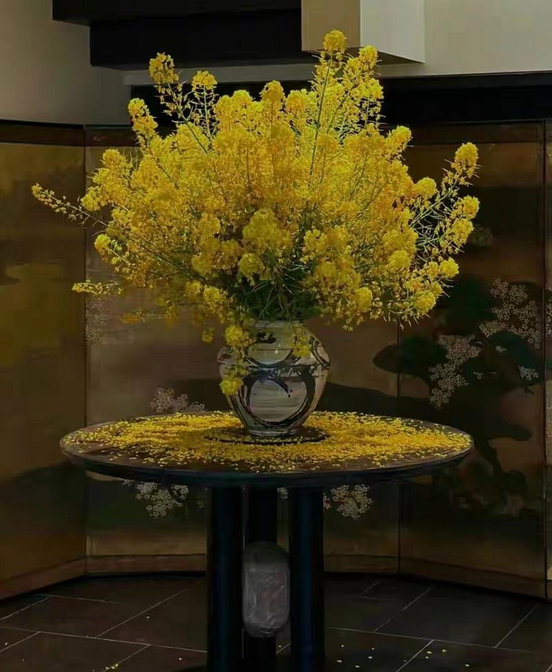 油菜花，有财花”有才华”