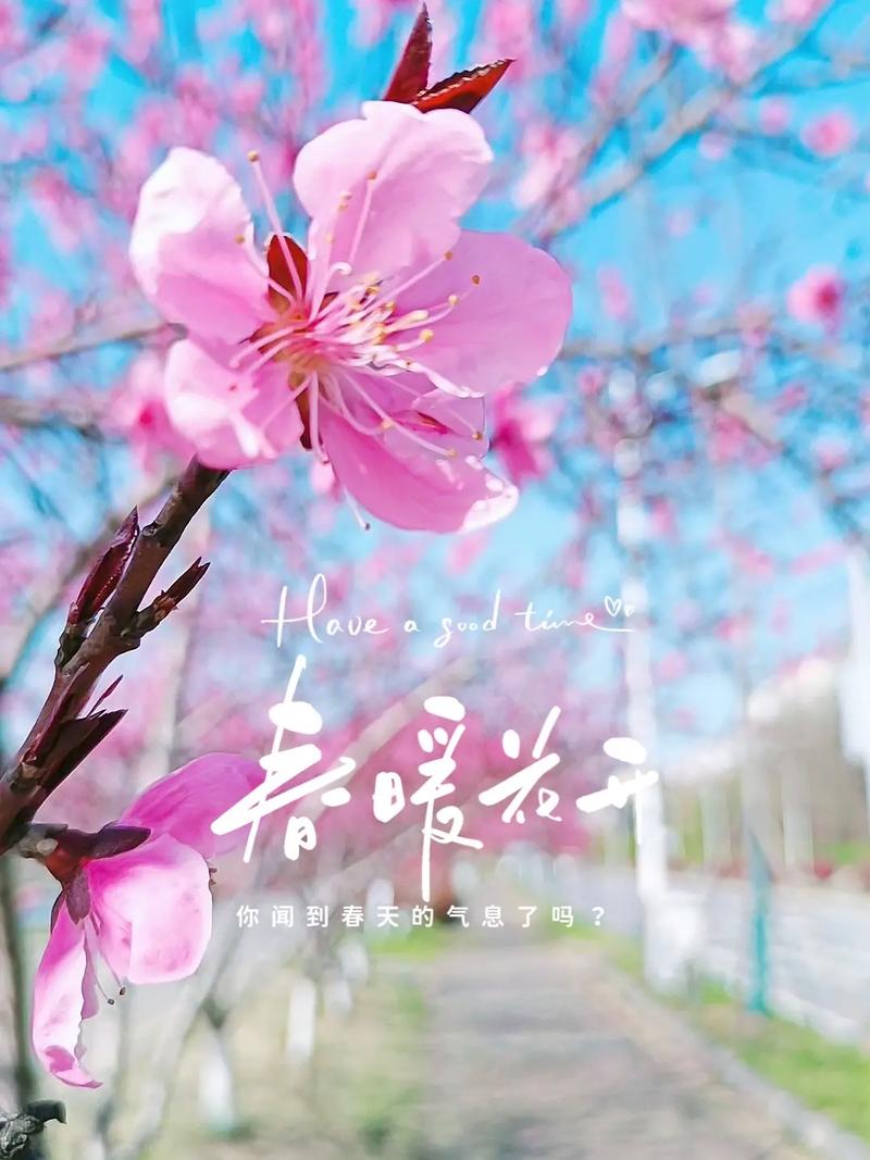 如诗如画春意盎然！春暖花开奔你而来
