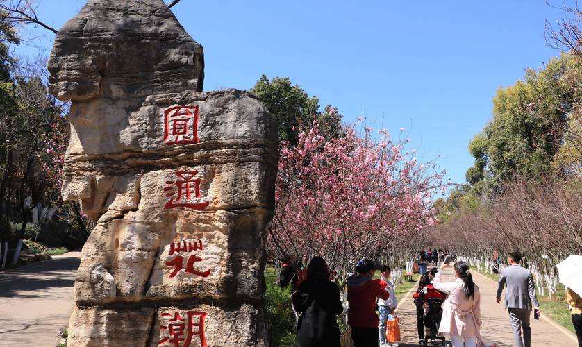 昆明圆通山，是观赏内容最丰富、游人最多的公园
