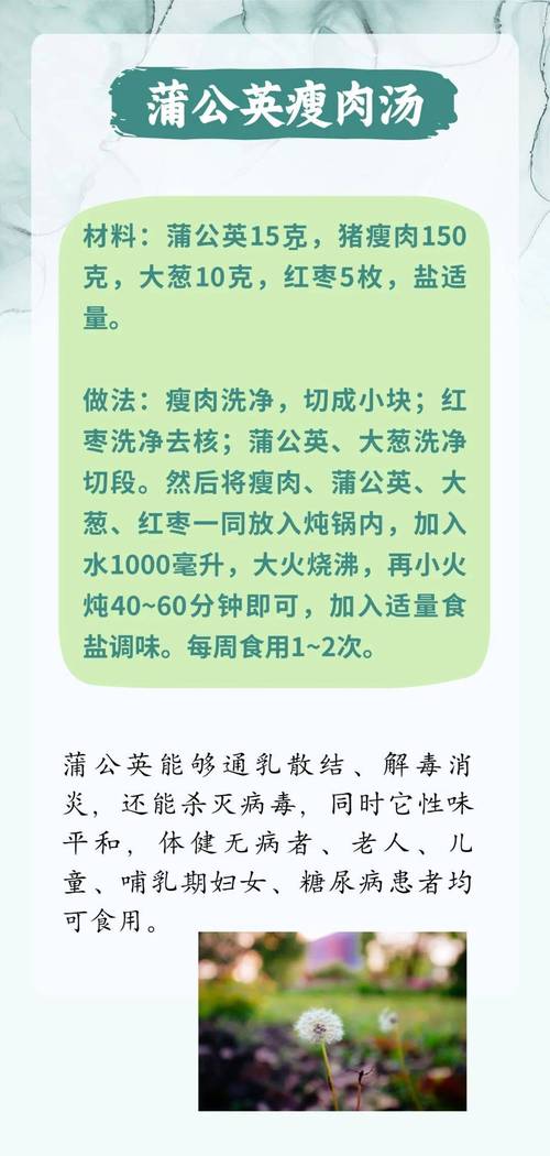 春天使劲吃这菜，一利尿，二润肺，三健脾，四化痰，不懂吃真可惜