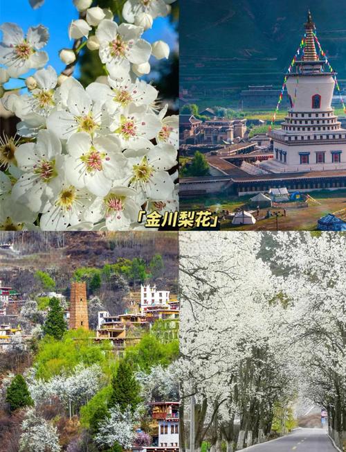 金甲梨花节"风起梨花醉"启幕 文旅融合引客465万创收47亿