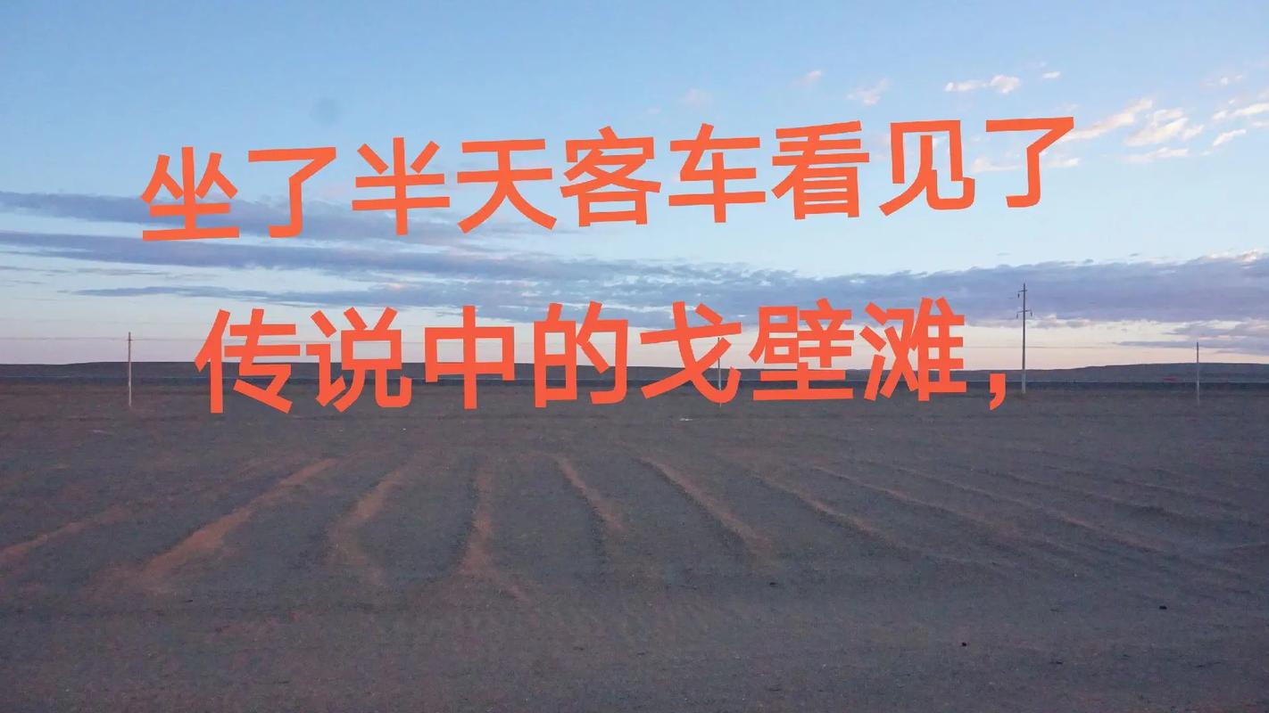 返程之旅 小马拉大车一路是心惊肉跳，还把我冻的半死