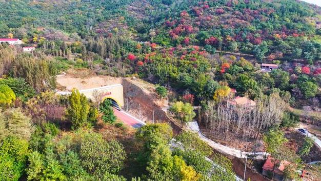 邹平市临池镇：穿过白云山隧道 与梯田花海撞个满怀