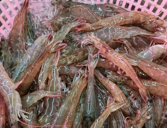 买大虾时，小心买到“激素虾”这四种尽量别买，为了健康要牢记