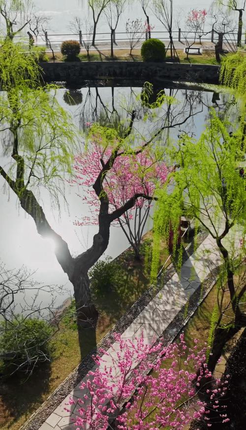 三月桃花朵朵开，丝丝缕缕醉心怀！游杭州桃花湖公园