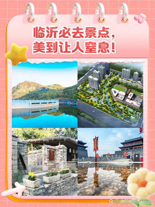 好客山东好品山东｜免费！临沂滨河这片花海等你打卡！