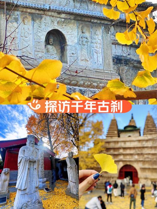 荥阳塔山自驾惊魂记：千年古塔与野生杏花的邂逅