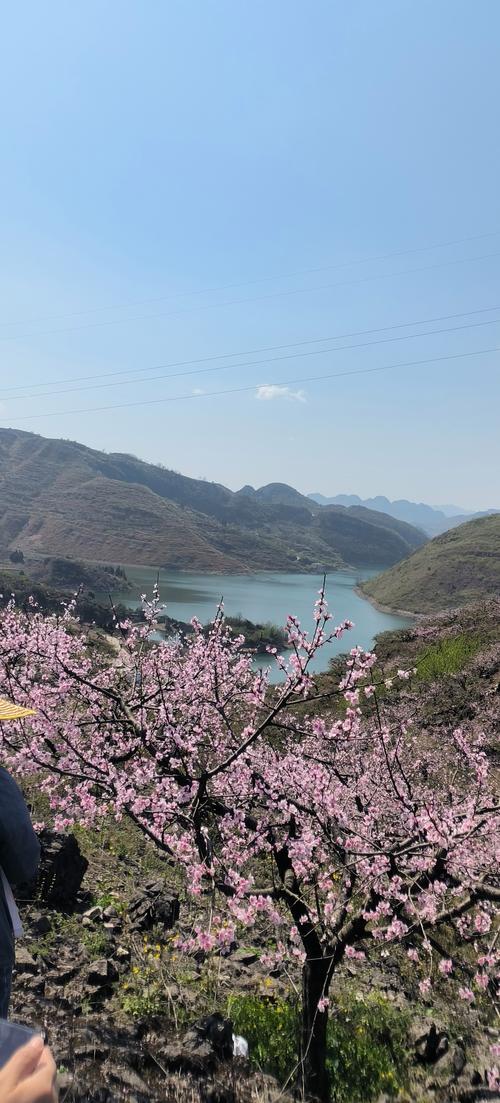 春日俯瞰萧县沈峪桃花坞，漫步山间小径，感受大自然的美好