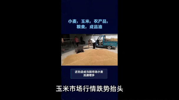 哀嚎一片！小麦这次要彻底跌入“无底洞”2025年3月29日