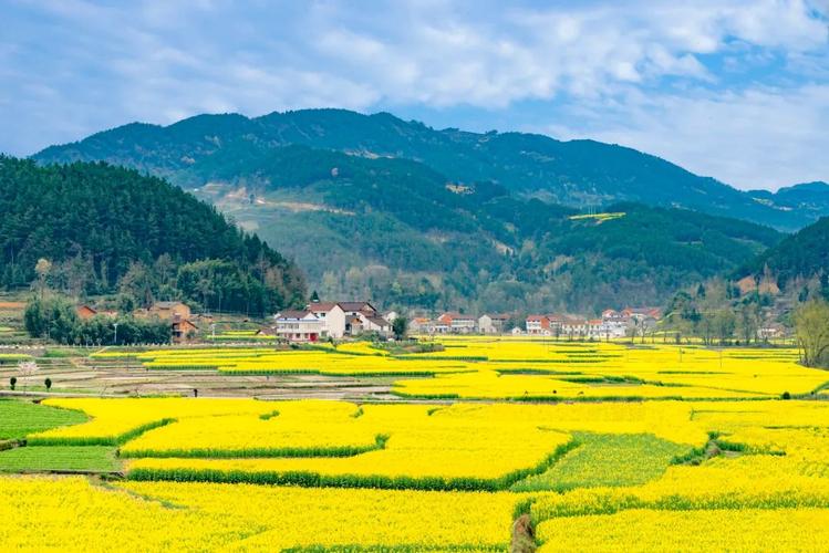 湖南通道县：黄家堡的春天 油菜花的时节，美丽乡村景色迷人