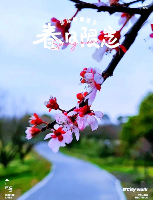 这个周末再不去赏花，今年这个春天就已经快过完了