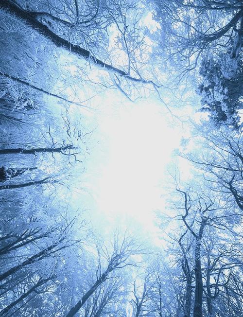 花都开败了你给我说下雪了？3月28日晚上#四明山 又给干上了雪