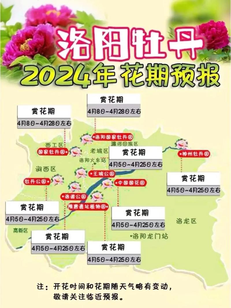 清明小长假，来洛阳赏牡丹吧！三大公园发布赏花指南