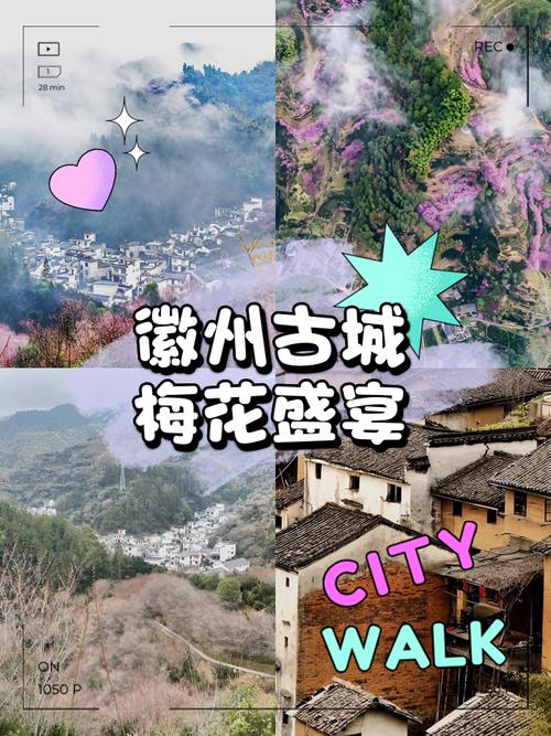 春游徽县 邂逅一场诗意盎然的春日盛宴